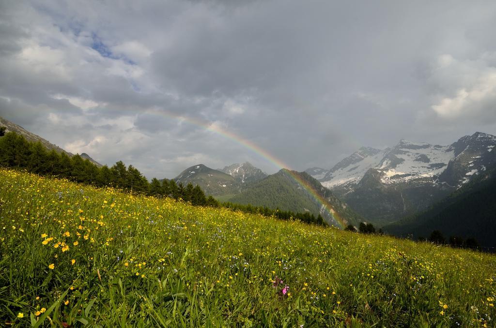 Le Coin Des Melezes - Nature, Trek & Ski