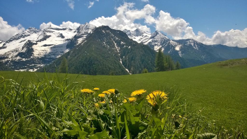 Le Coin Des Melezes - Nature & Trek - In Di Montagna Gasthof *